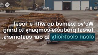 Sawmill-Renewable-Energy